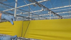 Roller trap large Artiverde en situation